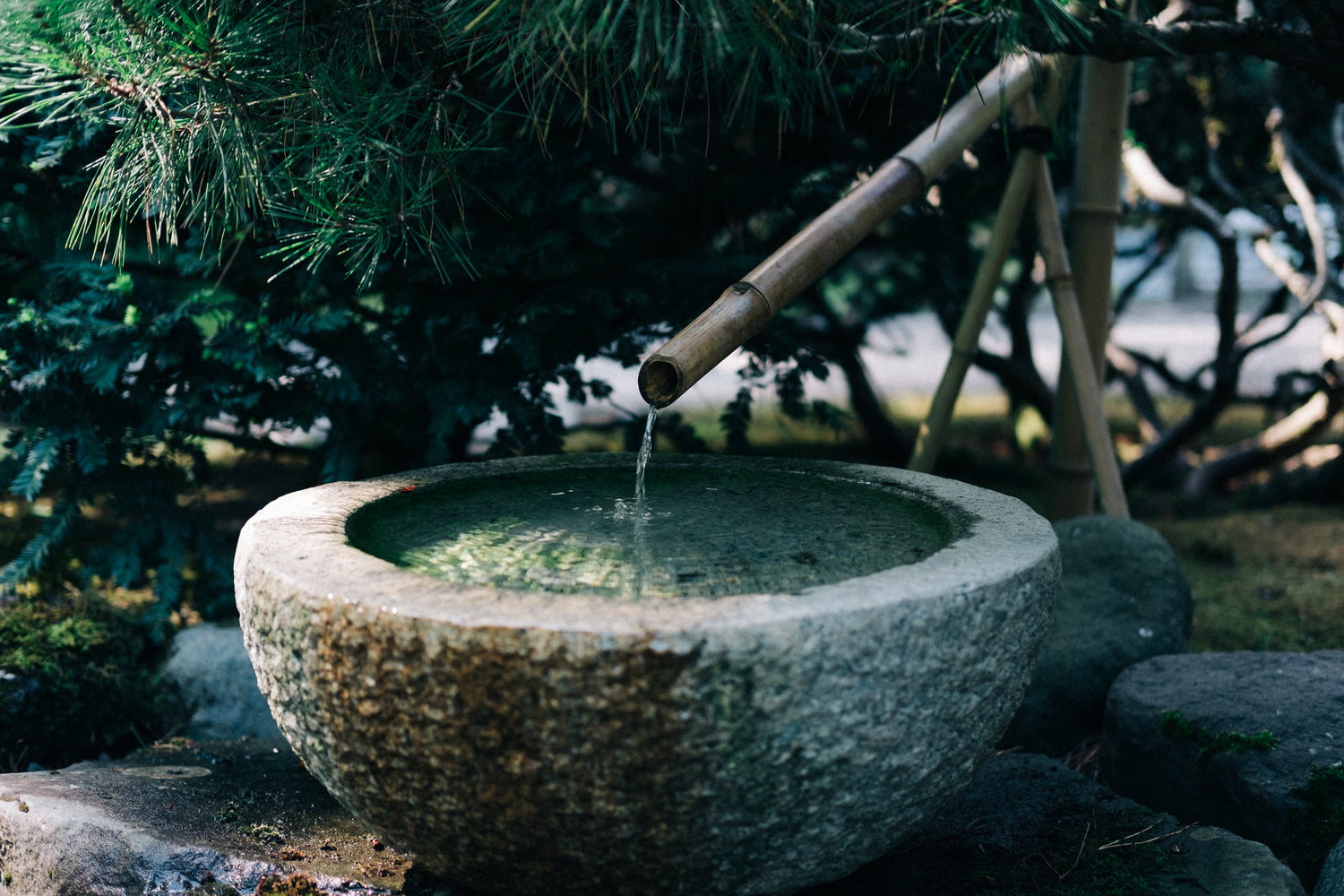 Image of a Bamboo Fountain